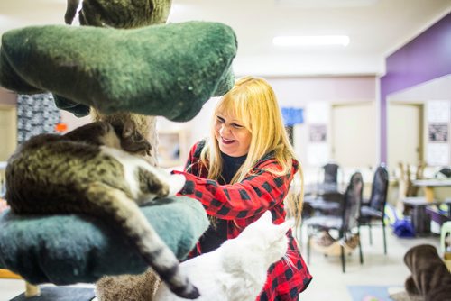 MIKAELA MACKENZIE / WINNIPEG FREE PRESS
Jennifer Laferriere at her cat cafe, Miss J. La's Fur Babies Cat Cafe and Adoption Centre, in Winnipeg on Thursday, Oct. 25, 2018. 
Winnipeg Free Press 2018.