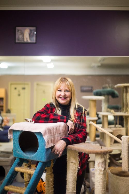 MIKAELA MACKENZIE / WINNIPEG FREE PRESS
Jennifer Laferriere at her cat cafe, Miss J. La's Fur Babies Cat Cafe and Adoption Centre, in Winnipeg on Thursday, Oct. 25, 2018. 
Winnipeg Free Press 2018.