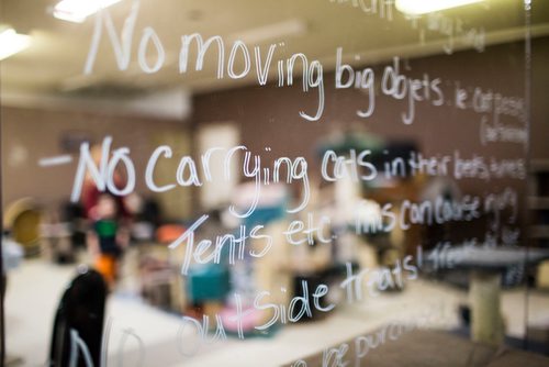 MIKAELA MACKENZIE / WINNIPEG FREE PRESS
Miss J. La's Fur Babies Cat Cafe and Adoption Centre in Winnipeg on Thursday, Oct. 25, 2018. 
Winnipeg Free Press 2018.