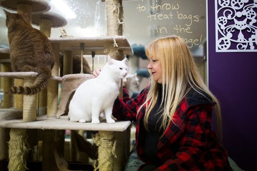 MIKAELA MACKENZIE / WINNIPEG FREE PRESS
Jennifer Laferriere at her cat cafe, Miss J. La's Fur Babies Cat Cafe and Adoption Centre, in Winnipeg on Thursday, Oct. 25, 2018. 
Winnipeg Free Press 2018.