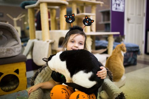 MIKAELA MACKENZIE / WINNIPEG FREE PRESS
Selena Laferriere (four) at Miss J. La's Fur Babies Cat Cafe and Adoption Centre in Winnipeg on Thursday, Oct. 25, 2018. 
Winnipeg Free Press 2018.