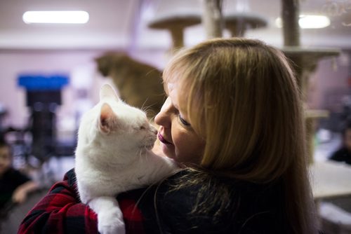 MIKAELA MACKENZIE / WINNIPEG FREE PRESS
Jennifer Laferriere at her cat cafe, Miss J. La's Fur Babies Cat Cafe and Adoption Centre, in Winnipeg on Thursday, Oct. 25, 2018. 
Winnipeg Free Press 2018.