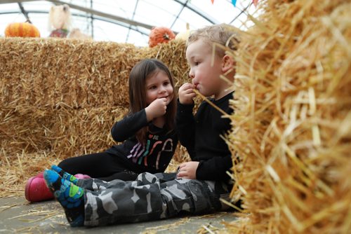 RUTH BONNEVILLE / WINNIPEG FREE PRESS

Standup photo 

Landon Cross (3yrs) and his friend Bella Bassett (3yrs), nibble on some candy after playing in the Haymaze as their parents look on at Shelmerdines Kids FunZone Tuesday.  

The play place is an indoor amusement park for kids ages 1-8  and includes a train ride, bumper cars, swings and mini merry-go-round and runs till Oct 31st.

Standup 
October 30, 2018