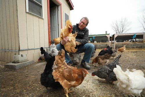 RUTH BONNEVILLE / WINNIPEG FREE PRESS

ENT - Fort Whyte/Bill Elliot
: FortWhyte Alive
 
Photos of Bill Elliott, president and CEO of FortWhyte Alive with some of the animals at their farm for story of his retirement; after 35 years, Bill Elliott is retiring.  

For feature story Jen is writing about how FortWhyte has grown and changed in Bill's tenure.  

October 31, 2018