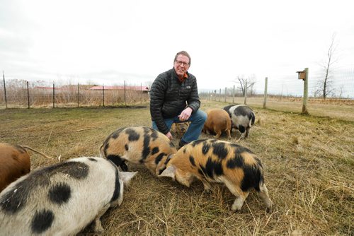 RUTH BONNEVILLE / WINNIPEG FREE PRESS

ENT - Fort Whyte/Bill Elliot
: FortWhyte Alive
 
Photos of Bill Elliott, president and CEO of FortWhyte Alive with some of the animals at their farm for story of his retirement; after 35 years, Bill Elliott is retiring.  

For feature story Jen is writing about how FortWhyte has grown and changed in Bill's tenure.  

October 31, 2018