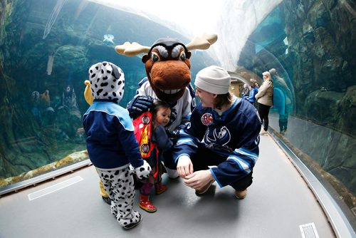 JOHN WOODS / WINNIPEG FREE PRESS
Mickey Moose gives a hug to Meika as her brothers Gerrard and Conway, and Manitoba Moose player Sami Niku look on at Gateway to The North at Assiniboine Park Sunday, November 4, 2018. Moose players presented the Assiniboine Park Conservancy's Polar Bear Rescue Team with a cheque for $8,540.06 raised from an auction of polar bear themed jerseys worn last season.