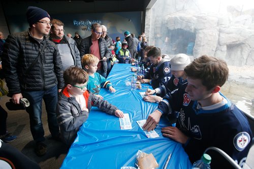 JOHN WOODS / WINNIPEG FREE PRESS
Manitoba Moose players sign autographs at Gateway to The North at Assiniboine Park Sunday, November 4, 2018. Moose players presented the Assiniboine Park Conservancy's Polar Bear Rescue Team with a cheque for $8,540.06 raised from an auction of polar bear themed jerseys worn last season.