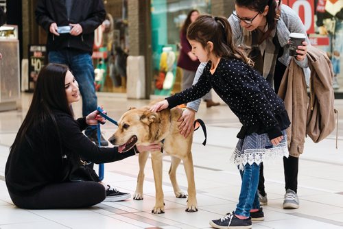 Canstar Community News Daniel Crump / Winnipeg Free Press. Trena Ducharme (right) and her daughter (middle) Paisley stop to pet Sally, one of the dogs available for adoption through animal services dog date program. October 27, 2018.