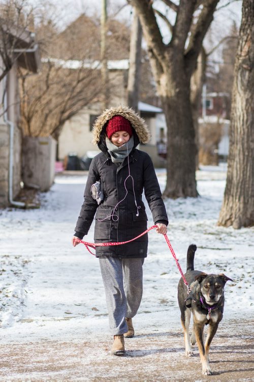 MIKAELA MACKENZIE / WINNIPEG FREE PRESS
A sign asking for residents' input on a bike lane along Wolseley Avenue in Winnipeg on Monday, Nov. 12, 2018. 
Winnipeg Free Press 2018.