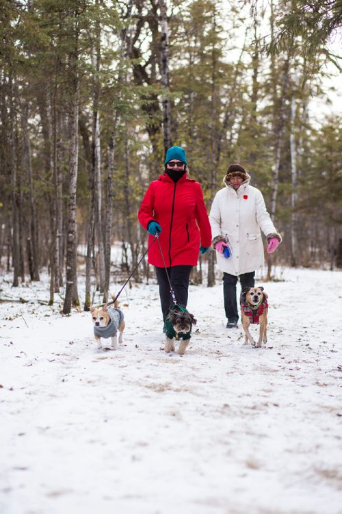 MIKAELA MACKENZIE / WINNIPEG FREE PRESS
Shari Currie (left) and Donna Remillard walk their dogs in the chilly weather at Assiniboine Park in Winnipeg on Monday, Nov. 12, 2018. 
Winnipeg Free Press 2018.