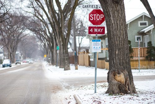 MIKAELA MACKENZIE / WINNIPEG FREE PRESS
A sign asking for residents' input on a bike lane along Wolseley Avenue in Winnipeg on Monday, Nov. 12, 2018. 
Winnipeg Free Press 2018.