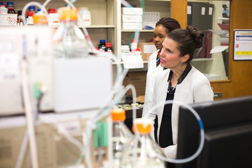 MIKAELA MACKENZIE / WINNIPEG FREE PRESS
Kirsty Duncan, Minister of Science and Sport, gets a tour of Trust Beta's grains lab after announcing national investments in the Canada Research Chairs Program at the University of Manitoba in Winnipeg on Wednesday, Nov. 14, 2018. 
Winnipeg Free Press 2018.