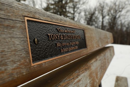RUTH BONNEVILLE / WINNIPEG FREE PRESS

LOCAL - bench memorials

Assiniboine Park near steam train. 


Where - Assiniboine Park, near start of steam train, near small stream of water

Portrait of Lyle Koncan sits on a memorial park bench she purchased in memory of husband Tony and their dog Daisy Tuesday.

Lyle had made donation of $1,500 for memorial bench for memory of husband Tony and their dog Daisy in Sept. 2008 and was told the bench was there "for years to come" and for grandchildren and great-granchildren to enjoy.  Lyle recently found out that after 10 years, the benches may be removed at the will of the Assiniboine Park Conservancy. 

See Ashley Prest story. 



Nov 14th, 2018