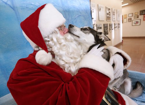 JOHN WOODS / WINNIPEG FREE PRESS
Santa Claus, played by Doug Speirs, gets a kiss from Odin during his photo session at Pet Pics with Santa Paws fundraiser in support of the humane society at the Winnipeg Free Press Sunday, November 18, 2018.
