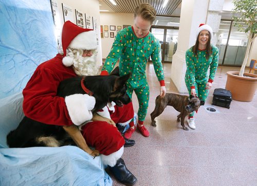 JOHN WOODS / WINNIPEG FREE PRESS
Rebecca Axelrod and Kory Wahl with Tucker and Shep get ready for their photo session with Santa Claus, played by Doug Speirs, at Pet Pics with Santa Paws fundraiser in support of the humane society at the Winnipeg Free Press Sunday, November 18, 2018.