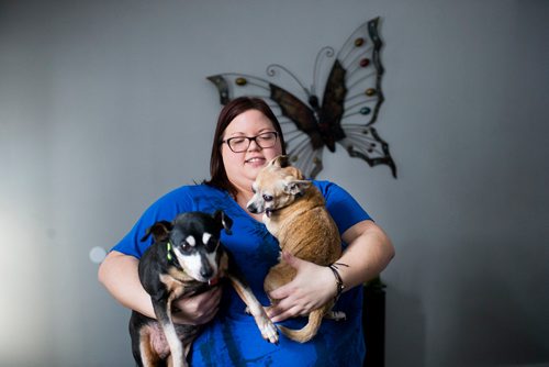 MIKAELA MACKENZIE / WINNIPEG FREE PRESS
Foster mom Erin Skobel with Abbey (a 13-year-old miniature pinscher), left, and Charlie (a 12-year-old male chihuahua), who need to be adopted out together, in her home in Winnipeg on Tuesday, Nov. 20, 2018.
Winnipeg Free Press 2018.