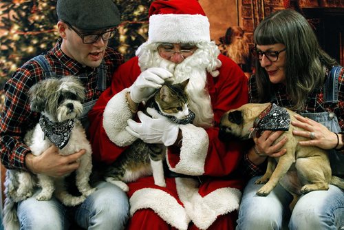 PHIL HOSSACK / WINNIPEG FREE PRESS - Andre Crate (left) and his partner Jessica Wachal work with Santa at the WInnipeg Animal Control Branch on Logan ave Saturday morning to settle their 'Zuchon' named Frankie, Waldo their cat, and Edith the Pug for a portrait session with Santa.   - November 24, 2018