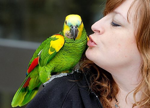 BORIS MINKEVICH / WINNIPEG FREE PRESS 090322 Joanne Irving Gascoigne (R) and her parrot named Jasper pose for a photo.