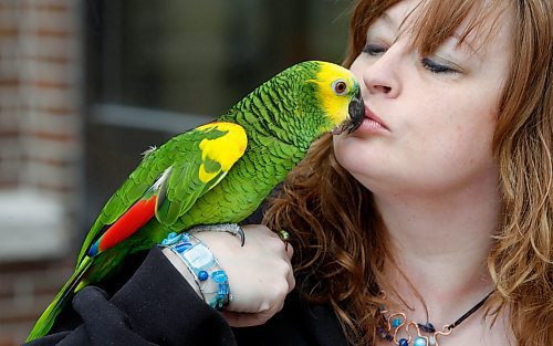 BORIS MINKEVICH / WINNIPEG FREE PRESS 090322 Joanne Irving Gascoigne (R) and her parrot named Jasper pose for a photo.