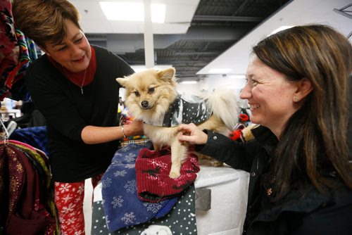 JOHN WOODS / WINNIPEG FREE PRESS
Bailey, a one year old Pomeranian, models a cozy winter coat for her human mum Cheryl Purll, right, and Michele, owner of Snuggle Wraps Dog Coats, at Paws For The Season Craft and Bake Sale at the Winnipeg Humane Society Sunday, December 2, 2018.