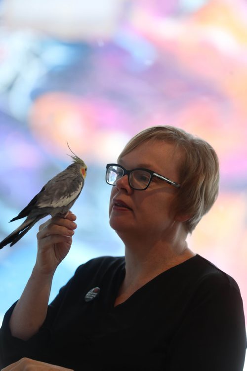 RUTH BONNEVILLE / WINNIPEG FREE PRESS


49.8 Meth

Feature on IFC (Indigenous Family Centre), for Meth project.


Portraits of  Indigenous Family Centre Director, Michele Visser. Her bird named "Feather" has become a resident of the centre. and helps clients feel comfortable, at home and like any peaceful animal, a healing component at the centre like a healing bird.  

Where : Indigenous Family Centre, 470 Selkirk Ave. 

IFC has been a frequent visiting spot for meth users of late, causing the centre to lock their doors and cut back on hours. Bathrooms have also been locked up because meth users were trying to eat their feces (to get high again).


See Jessica Botelho-Urbanski story. 

Dec 3rd, 2018