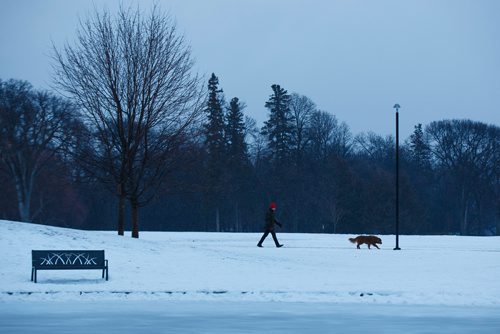 MIKE DEAL / WINNIPEG FREE PRESS
Walking the dog during freezing rain at Assiniboine Park.
181219 - Wednesday, December 19, 2018.