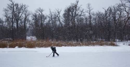 MIKE DEAL / WINNIPEG FREE PRESS
Seth Haras, 9, skates on the Assiniboine Park Duck Pond. This is the first winter he has had skates and manages to get someone from his family to take him every weekend to the park.
181222 - Saturday, December 22, 2018.