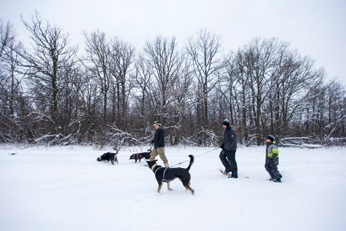 MIKAELA MACKENZIE / WINNIPEG FREE PRESS
Kevin Roberts (left) and André Lavergne go snowshoeing with their son, Sam O. (11), in Assiniboine Park after Sam got new snowshoes for Christmas in Winnipeg on Tuesday, Dec. 25, 2018. 
Winnipeg Free Press 2018.