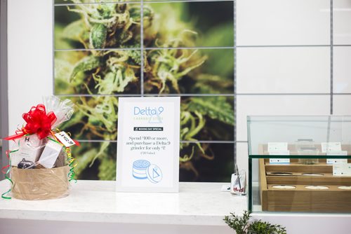 MIKAELA MACKENZIE / WINNIPEG FREE PRESS
Boxing Day at Delta 9 cannabis store in Winnipeg on Wednesday, Dec. 26, 2018. 
Winnipeg Free Press 2018.