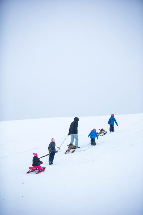 MIKAELA MACKENZIE / WINNIPEG FREE PRESS
Tobogganers take advantage of the snow at West View Park in Winnipeg on Wednesday, Dec. 26, 2018. 
Winnipeg Free Press 2018.