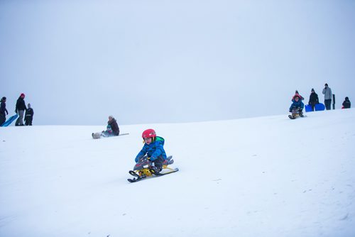 MIKAELA MACKENZIE / WINNIPEG FREE PRESS
Tobogganers take advantage of the snow at West View Park in Winnipeg on Wednesday, Dec. 26, 2018. 
Winnipeg Free Press 2018.