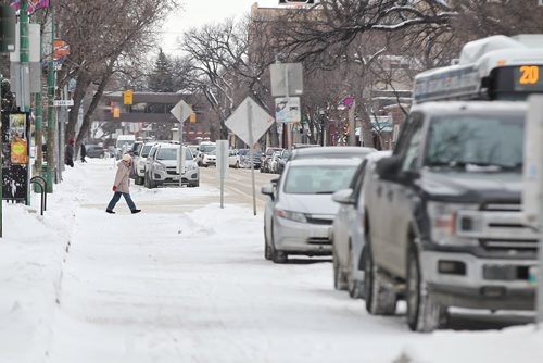 MIKE DEAL / WINNIPEG FREE PRESS
The bike lane on Sherbrook, where nearly every bollard has been removed entirely.
190102 - Wednesday, January 2, 2019