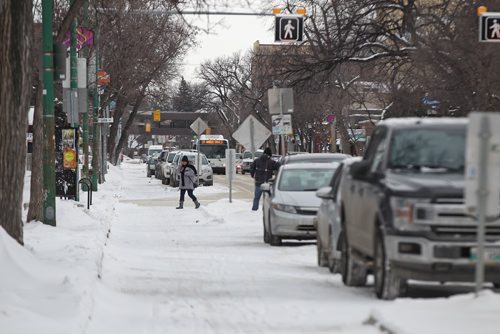 MIKE DEAL / WINNIPEG FREE PRESS
The bike lane on Sherbrook, where nearly every bollard has been removed entirely.
190102 - Wednesday, January 2, 2019