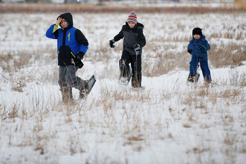 JOHN WOODS / WINNIPEG FREE PRESS
Hussein Cheaito, from left, and his brothers Najeb and Ahmad from Lebanon enjoy some snowshoeing on Snowshoe Sunday at Living Prairie Museum Sunday, January 6, 2019. Snowshoe Sundays will be held the first and last Sunday of January and February from 10-4.