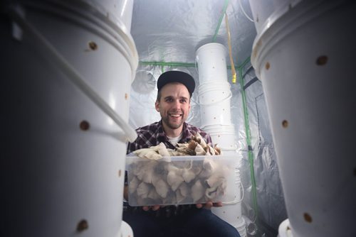 RUTH BONNEVILLE / WINNIPEG FREE PRESS

ENT - Prairie Oyster mushrooms

Description: Profile portraits and working shots of Jarrett Moffatt who grows Prairie Oyster mushrooms in his basement in a specialized cooling tent for high-end chefs.  Moffat found that growing the mushrooms was a type of therapy and outlet for him after having to moved back to his moms house from Toronto b/c he was suffering from chronic pain.


JILL WILSON | REPORTER / EDITOR

 Jan 7th, 2019 
