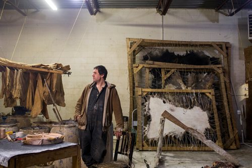 MIKAELA MACKENZIE / WINNIPEG FREE PRESS
Carl Froese, owner of Manitoba Buckskin, poses for a portrait in his workspace after being robbed of traditional family heirlooms and shop equipment overnight in Winnipeg on Wednesday, Jan. 9, 2019. 
Winnipeg Free Press 2018.