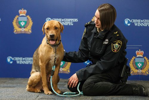 MIKE DEAL / WINNIPEG FREE PRESS
Animal Services Officer 148 and one of the rescued dogs from 716 Home Street they have named Hope. 
190114 - Monday, January 14, 2019.