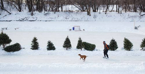 MIKE DEAL / WINNIPEG FREE PRESS
Taking the dog out for a skate at the river trail at The Forks Monday morning. 
190114 - Monday, January 14, 2019.