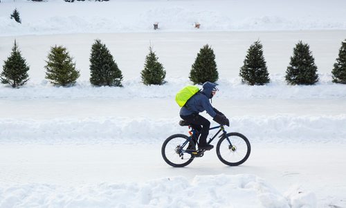 MIKE DEAL / WINNIPEG FREE PRESS
A cyclist makes their way along the river trail at The Forks Monday morning. 
190114 - Monday, January 14, 2019.