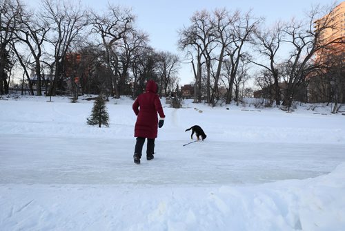 RUTH BONNEVILLE / WINNIPEG FREE PRESS

Photo of person on river trail with McFadyen Playground and park on Assiniboine Ave. in front of them on the other side of the river.  Many people use the park to make their way across the river when it's frozen to get to Osborne area.  For story on announcement that The Winnipeg Foundation plans on funding the construction of a new pedestrian and bicycle bridge across the Assiniboine River between the park (McFadyen Playground and park) that is midway between Osborne and Donald on River Avenue and the other side.

More info - Winnipeg Foundation
Giving city $5 million worth of money so it can renovate the citys archive building (former Carnegie library on William Avenue) and build a new pedestrian and bicycle bridge across the Assiniboine River between the park that is midway between Osborne and Donald on River Avenue and the other side. They want the projects done by 2021, the 100th anniversary of The Winnipeg Foundation.

See Kevin Roll-on story


Jan 15th, 2019 
