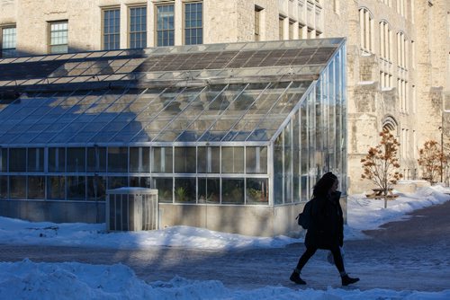 MIKE DEAL / WINNIPEG FREE PRESS
A student walks past the Buller Greenhouse at the University of Manitoba Thursday afternoon.
190117 - Thursday, January 17, 2019.