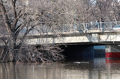 BORIS MINKEVICH / WINNIPEG FREE PRESS 090414 The Assiniboine River is high. Photo taken against the Osborne Street bridge.