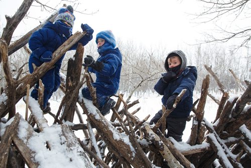 MIKE DEAL / WINNIPEG FREE PRESS
(From left) Sawyer, 3, Archie, 5, and Holden, 4, climb the stick hut during their self-directed play outdoors Monday morning at the FortWhyte Alive Forest School.
A pre-school alternative where kids ages 3-5 spend the whole session outdoors in the woods, even in this cold weather. They are hardier than most adults! 
190128 - Monday, January 28, 2019.