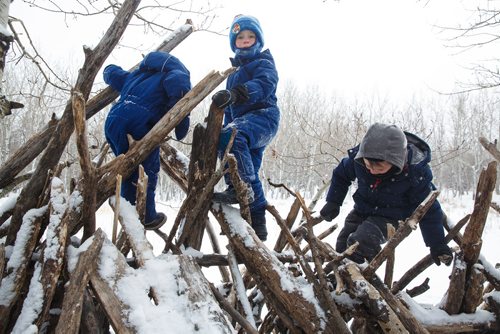 MIKE DEAL / WINNIPEG FREE PRESS
(From left) Sawyer, 3, Archie, 5, and Holden, 4, climb the stick hut during their self-directed play outdoors Monday morning at the FortWhyte Alive Forest School.
A pre-school alternative where kids ages 3-5 spend the whole session outdoors in the woods, even in this cold weather. They are hardier than most adults! 
190128 - Monday, January 28, 2019.