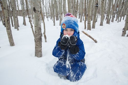 MIKE DEAL / WINNIPEG FREE PRESS
Archie, 5, takes a moment to eat some of the pristine snow in the forest during self-directed play outdoors Monday morning at the FortWhyte Alive Forest School.
A pre-school alternative where kids ages 3-5 spend the whole session outdoors in the woods, even in this cold weather. They are hardier than most adults! 
190128 - Monday, January 28, 2019.
