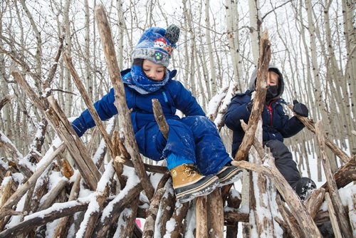 MIKE DEAL / WINNIPEG FREE PRESS
(From left) Sawyer, 3, and Holden, 4, climb the stick hut during self-directed play outdoors Monday morning at the FortWhyte Alive Forest School.
A pre-school alternative where kids ages 3-5 spend the whole session outdoors in the woods, even in this cold weather. They are hardier than most adults! 
190128 - Monday, January 28, 2019.