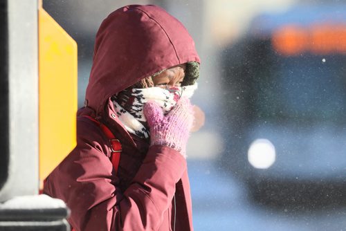 RUTH BONNEVILLE / WINNIPEG FREE PRESS

Cold Weather Standup

Beryn Ladu holds her scarf up close to her face as she waits for the light to cross Portage Ave. on Donald near BellMTS Place in the bitter cold and high wind chill values on Tuesday.


January 28th,  2019

