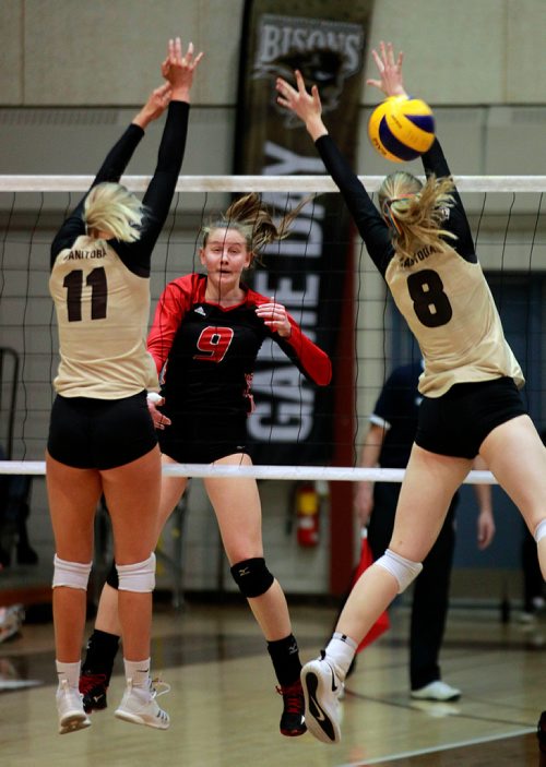 PHIL HOSSACK / WINNIPEG FREE PRESS - Wesmen Women #9 Emma Parker fires through Manitoba Bison defenders #11 Tori Studler and #8 Allison Alcock at the Wesmen Classic Volleyball tournament Friday. -February 1, 2019