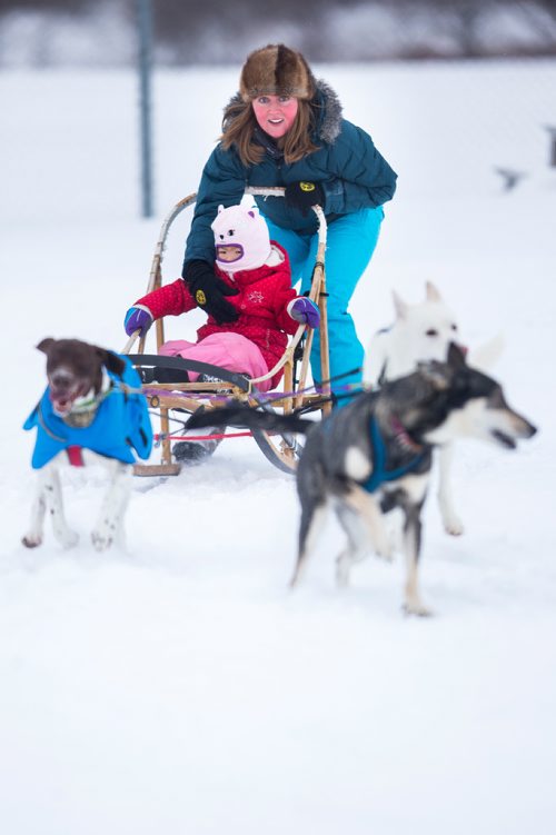 MIKAELA MACKENZIE / WINNIPEG FREE PRESS
Emily Quan, three, gets her first sled dog ride ever as Jennifer Farrant mushes at the Heritage Day at the St. Norbert Community Centre in Winnipeg on Saturday, Feb. 2, 2019.
Winnipeg Free Press 2018.