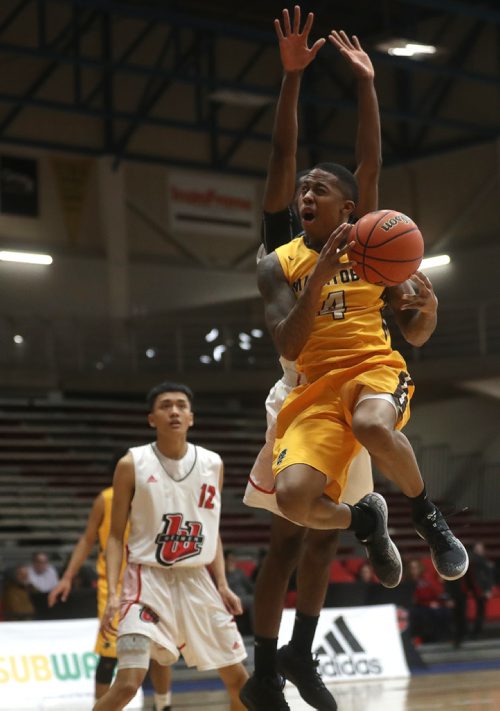 TREVOR HAGAN / WINNIPEG FREE PRESS 
Manitoba Bisons' guard Rashawn Browne (4) versus the Winnipeg Wesmen during a single game elimination, Wednesday, February 6, 2019.